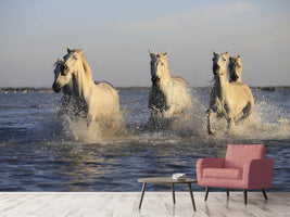 photo-wallpaper-horses-in-the-sea