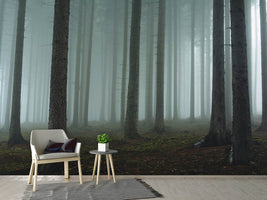 photo-wallpaper-foggy-forest-xcg