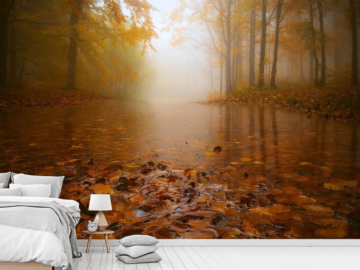 photo-wallpaper-autumn-flooding-x