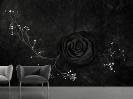 photo-wallpaper-rose-noire