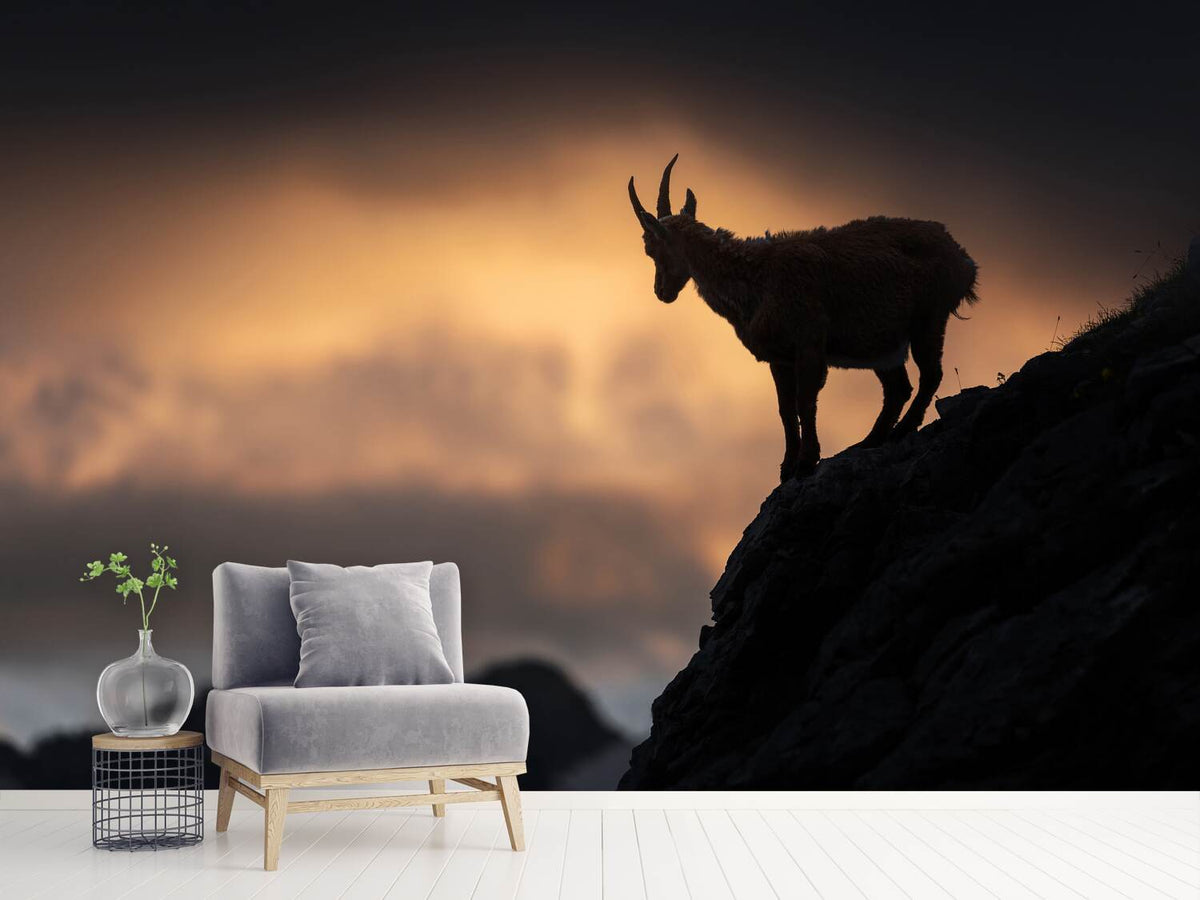 photo-wallpaper-alpine-ibex-x