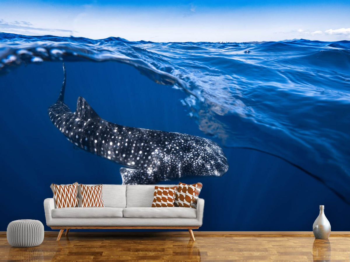 photo-wallpaper-whale-shark-on-split-level