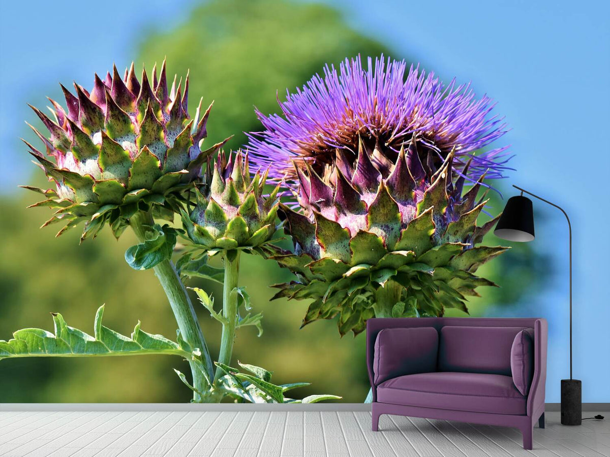 photo-wallpaper-the-artichoke-xl