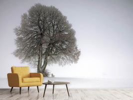 photo-wallpaper-winter-tree-x