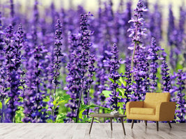 photo-wallpaper-xl-lavender