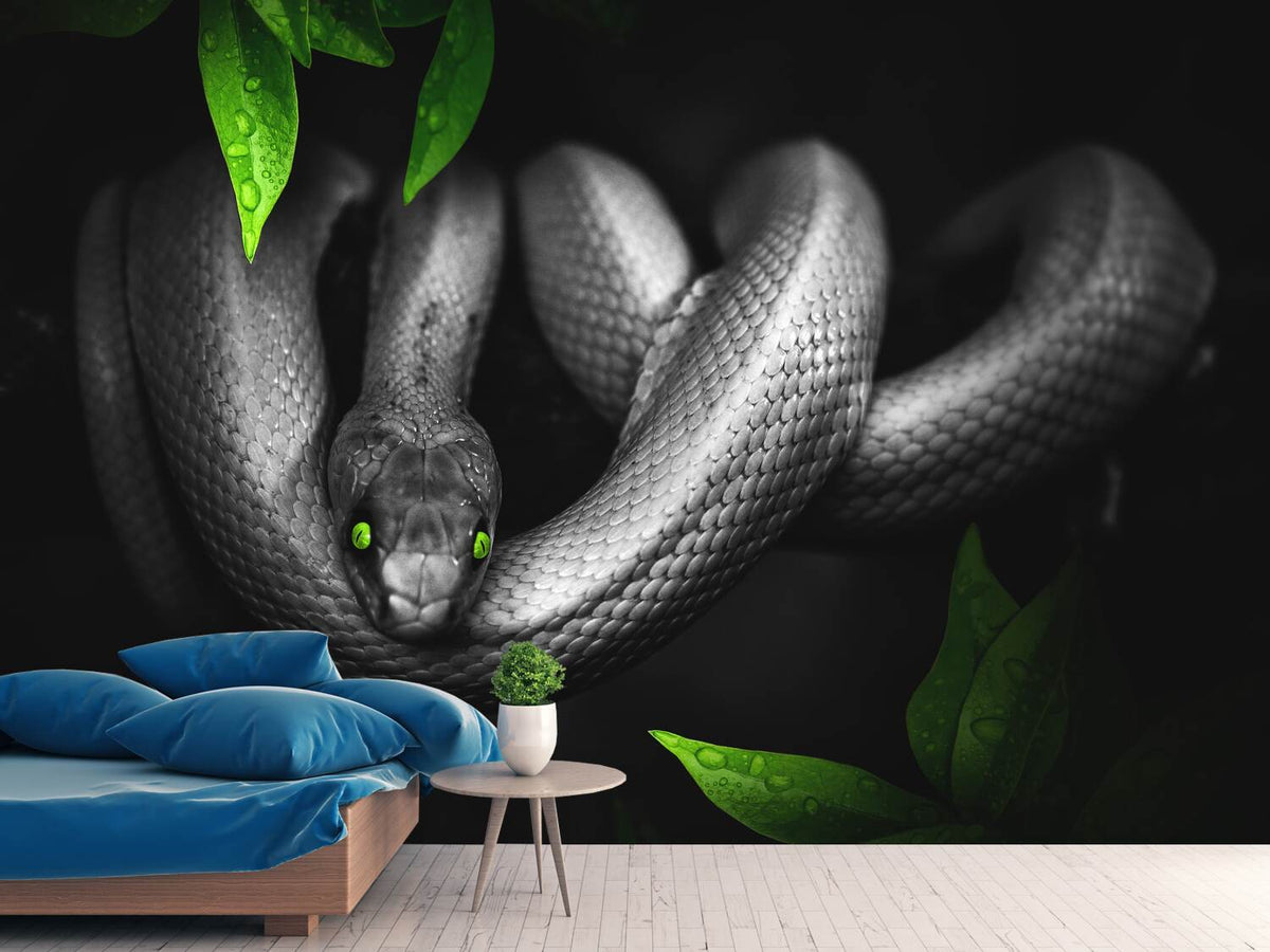 photo-wallpaper-attention-snake