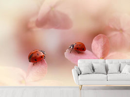 photo-wallpaper-ladybirds-on-pink-hydrangea