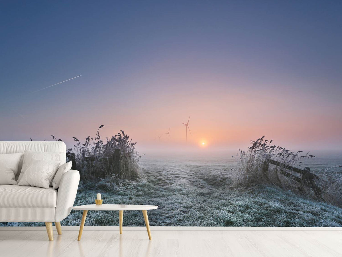 photo-wallpaper-frosty-morning-xaa