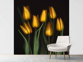 photo-wallpaper-tulips-ii