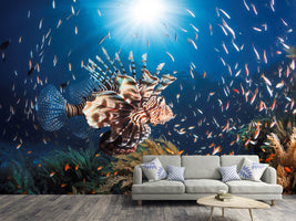 photo-wallpaper-lionfish