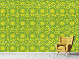 patterned-wallpaper-citrus-circles