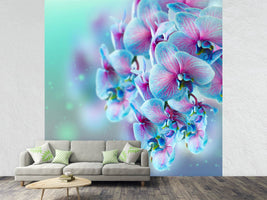 photo-wallpaper-colored-orchids