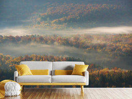 photo-wallpaper-misty-morning-ii-a