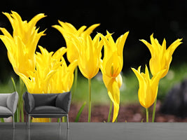 photo-wallpaper-yellow-tulips-in-the-nature