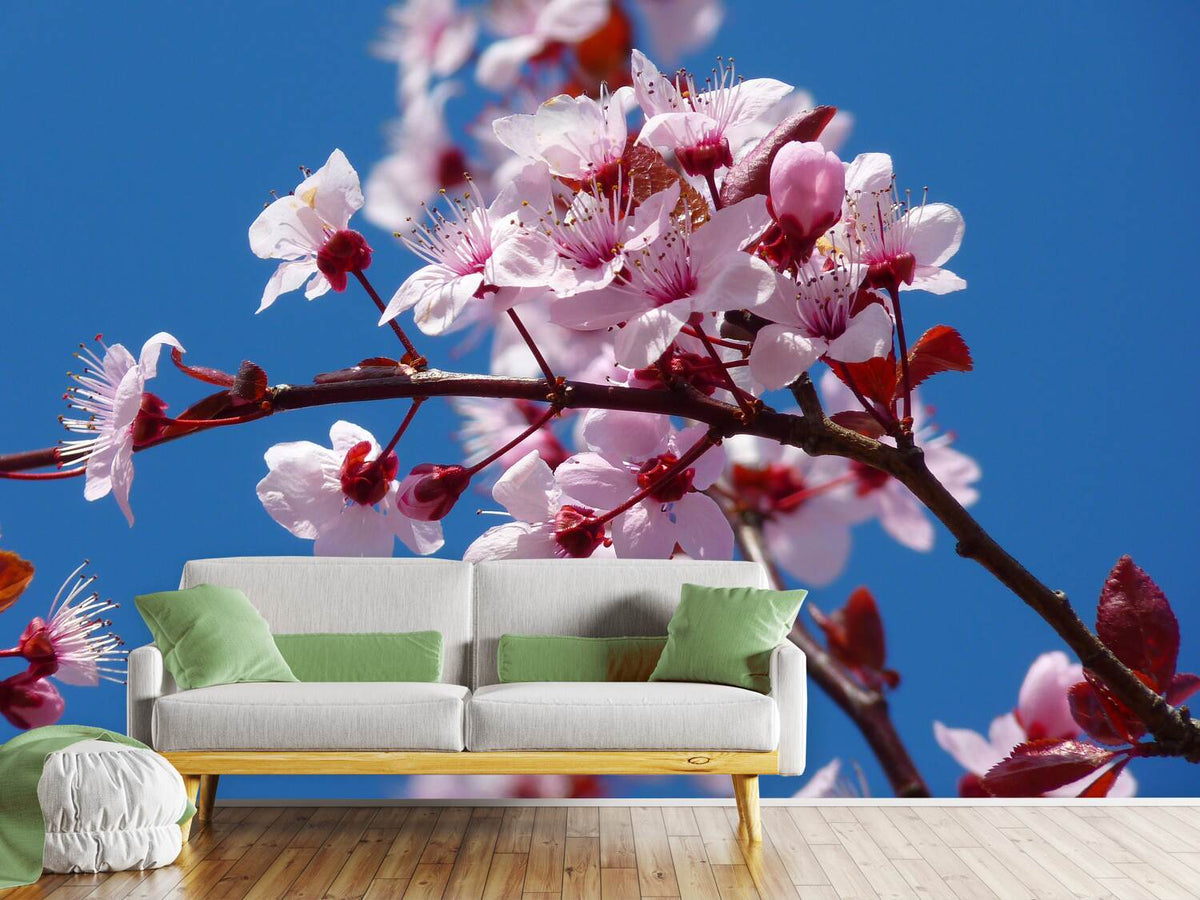 photo-wallpaper-the-almond-blossom