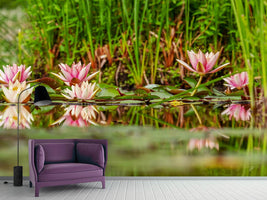 photo-wallpaper-wild-water-lilies