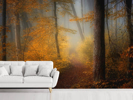 photo-wallpaper-in-autumn-x