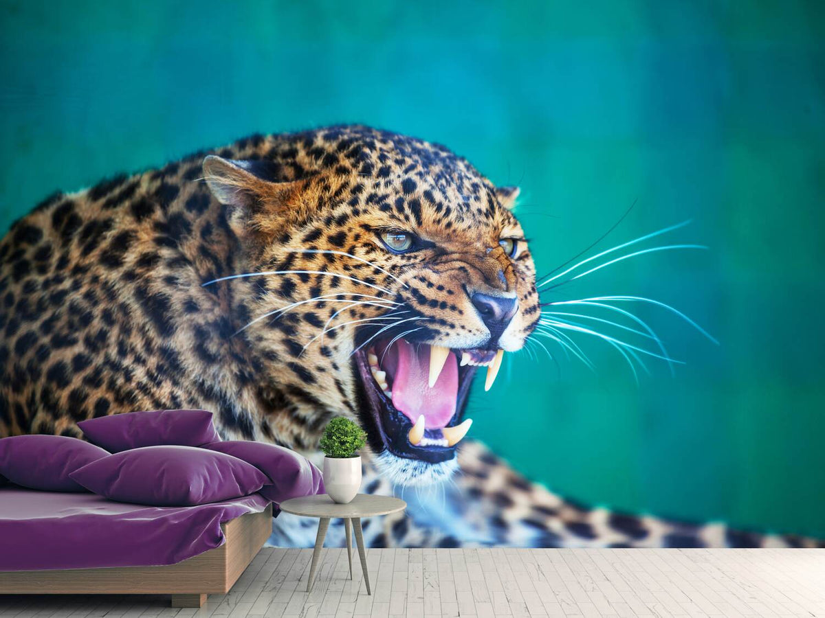 photo-wallpaper-attention-leopard